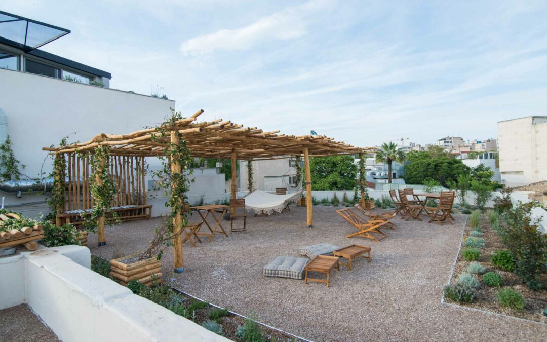 The floral diversity of Ederlezi Boutique Hotel’s roof garden