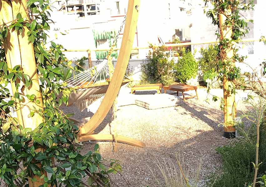 plants on a roof garden Athens