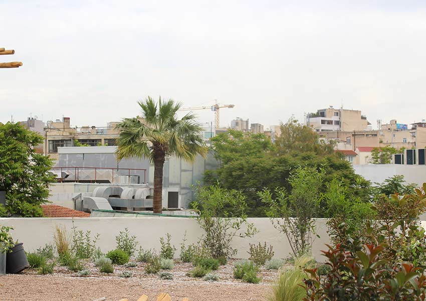 Roof garden in Ederlezi hotel Athens